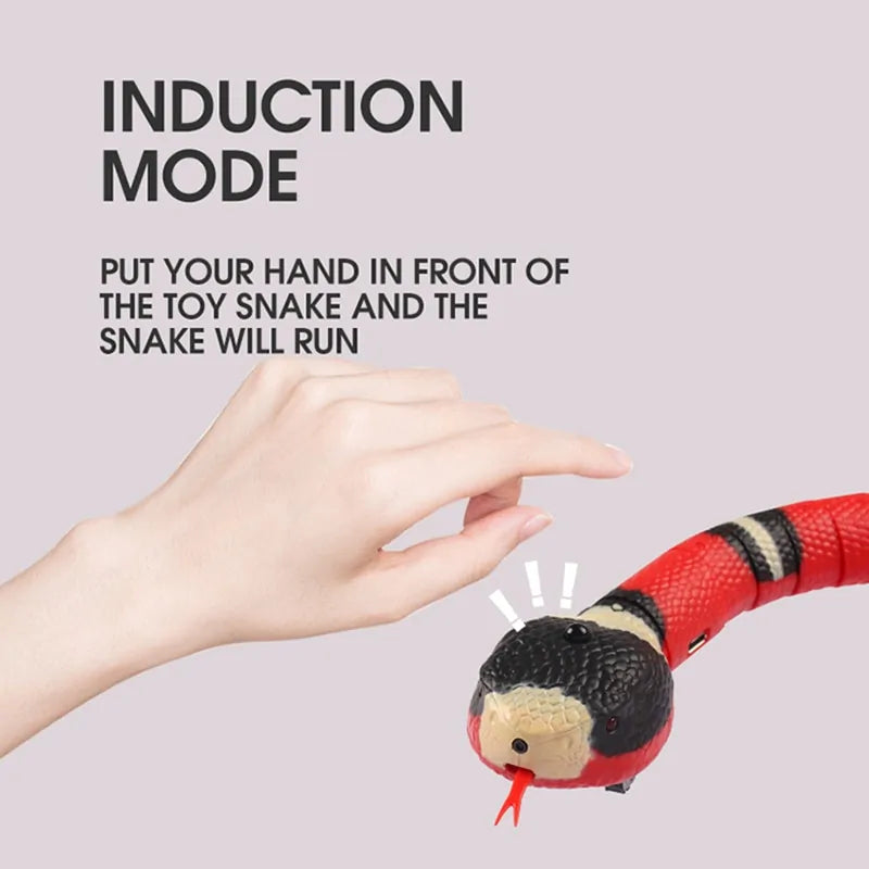 Cat Snake Toys