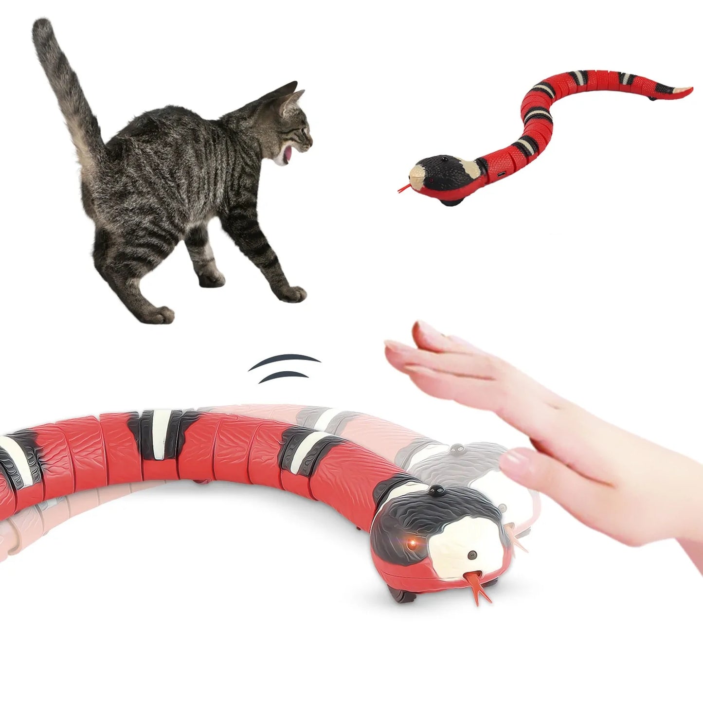 Cat Snake Toys
