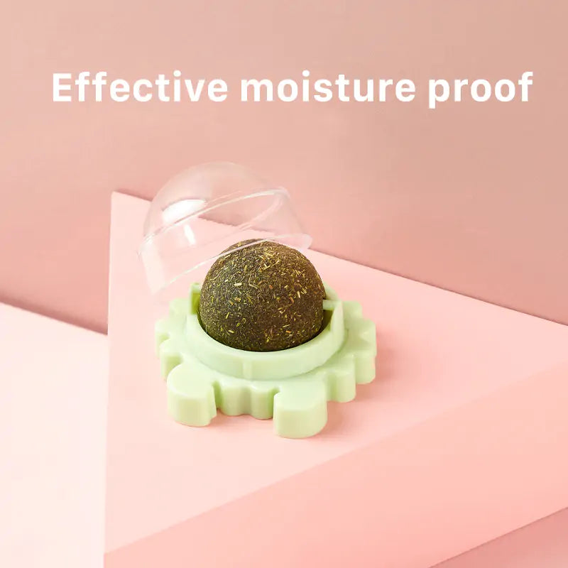 Healthy Cat Catnip Toys