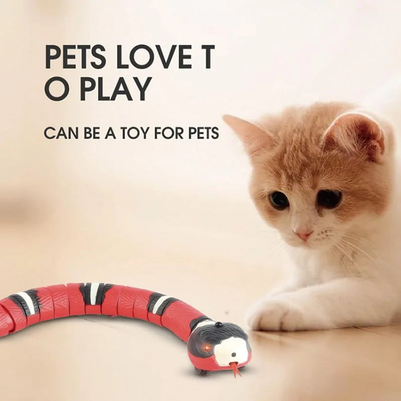 Cat Snake Toys