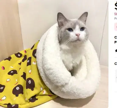 cozy cat bed