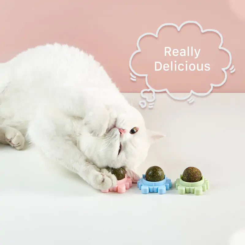 Healthy Cat Catnip Toys