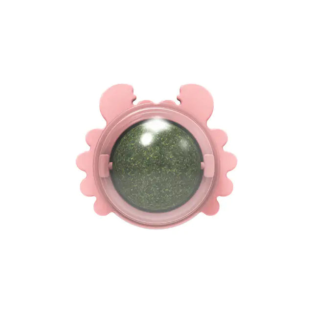 Healthy Cat Catnip Toys