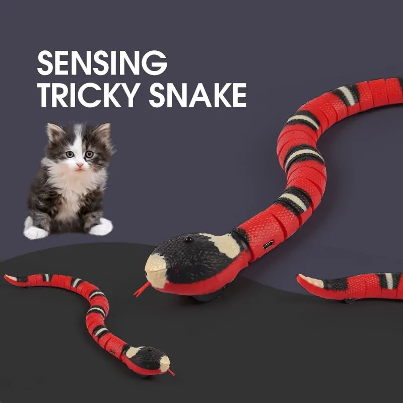 Cat Snake Toys