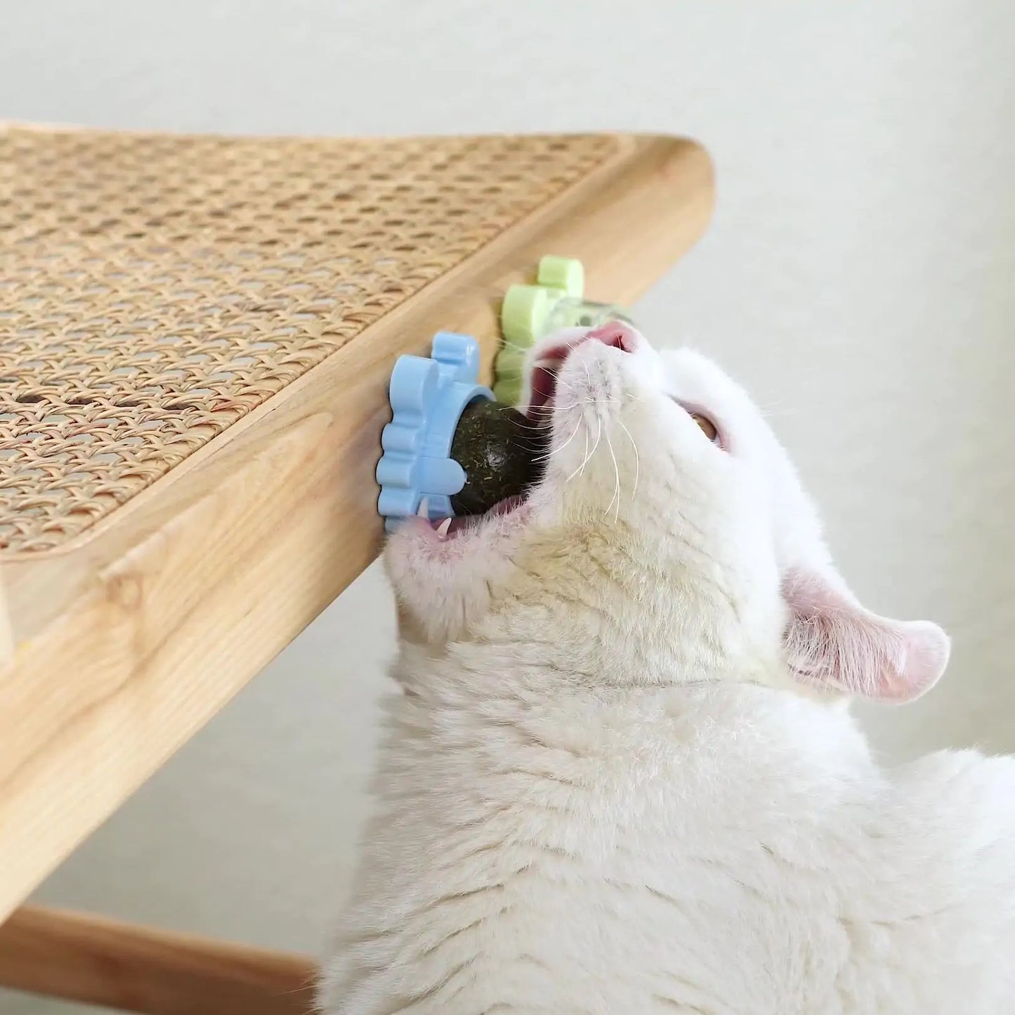 Healthy Cat Catnip Toys