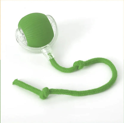 Interactive Rolling Cat Toy