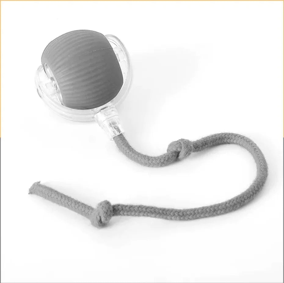Interactive Rolling Cat Toy