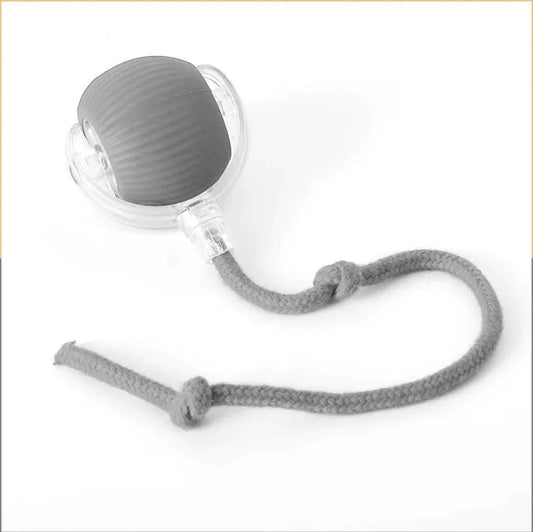 Interactive Rolling Cat Toy