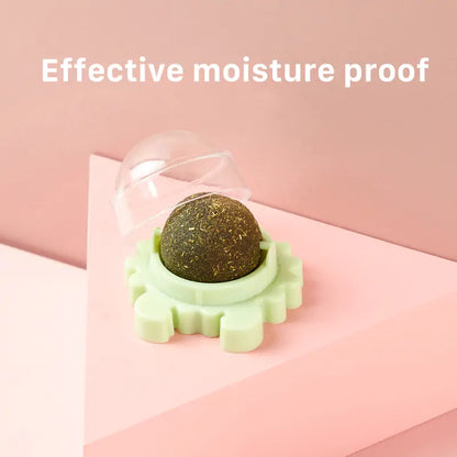 Healthy Cat Catnip Toys