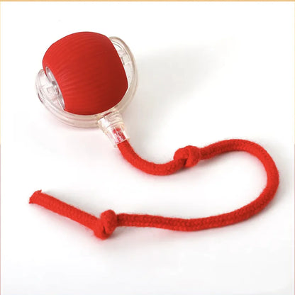 Interactive Rolling Cat Toy