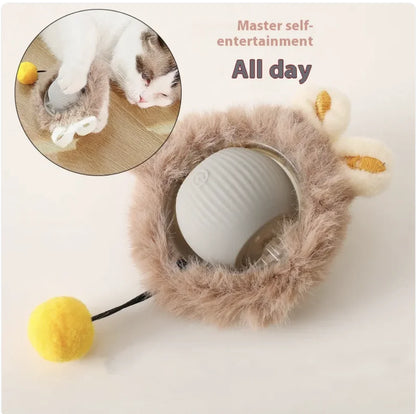 Interactive Rolling Cat Toy
