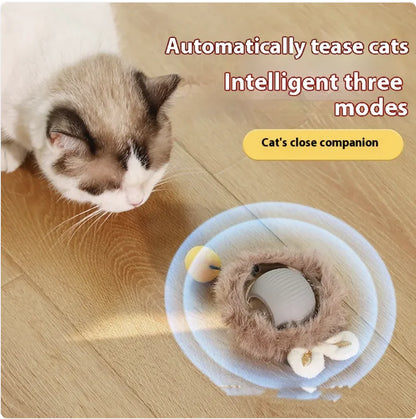Interactive Rolling Cat Toy