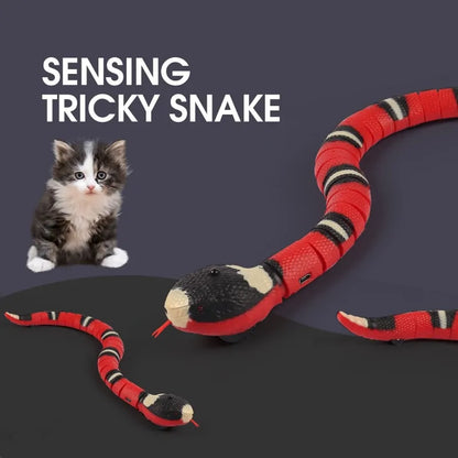 Cat Snake Toys