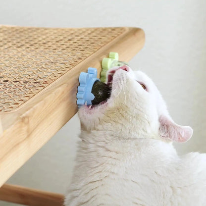 Healthy Cat Catnip Toys