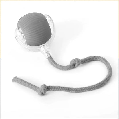 Interactive Rolling Cat Toy